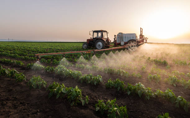 Best Commercial Pest Control Services  in Riverside, MD