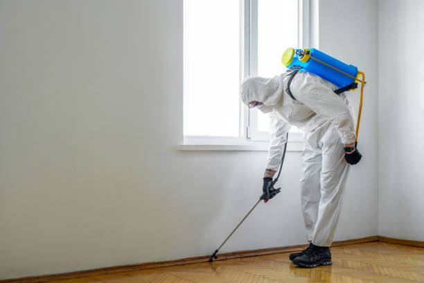 Best Emergency Pest Control  in Riverside, MD