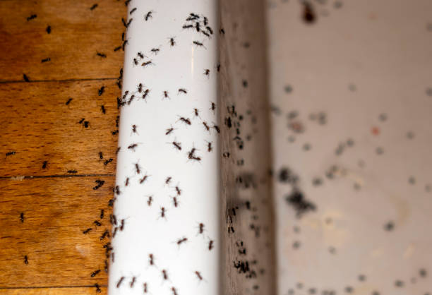Best Wildlife Control Services  in Riverside, MD