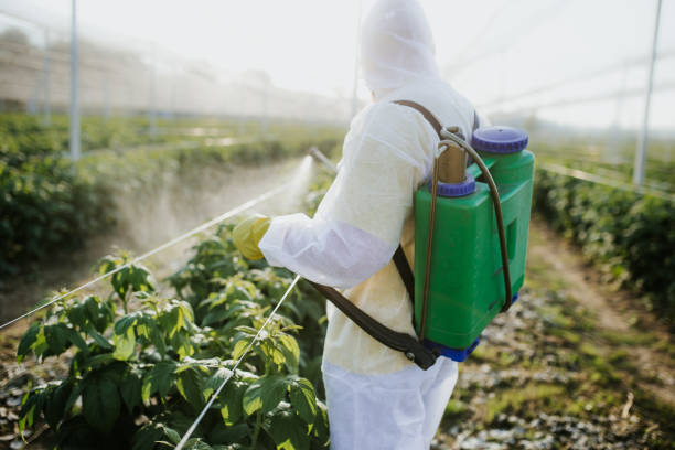 Best Exterminator Services  in Riverside, MD
